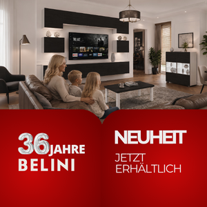 meblościanka heban 300x300 de