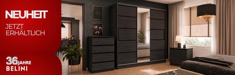 szafa 786x253 de